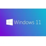 Windows 11 Enterprise 2023 22621.1105
