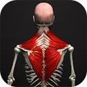 Anatomy Learning – 3D Anatomy Pro MOD APK 2.1.374