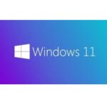 Windows 11 Enterprise 22621.1555 2023