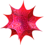 Wolfram Mathematica 13.2.1 2023